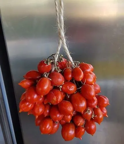 Al Corbezzolo 4* Torre del Greco