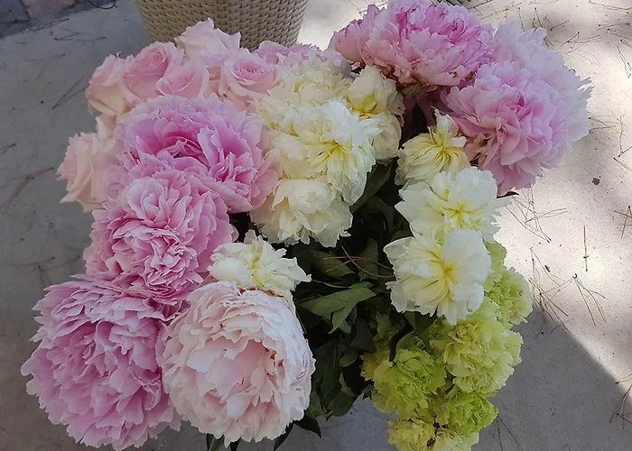 Bed & Breakfast Al Corbezzolo